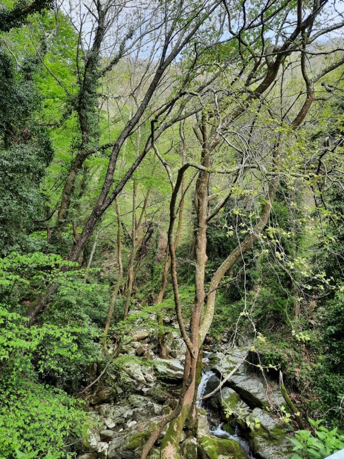 Αρχοντικό Κονάκι- Konaki Pelion Tsagarada Exterior foto